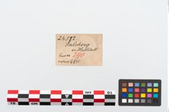 Etikett zu Bronzerollenkopfnadel (NHMW-PRAE-024582)